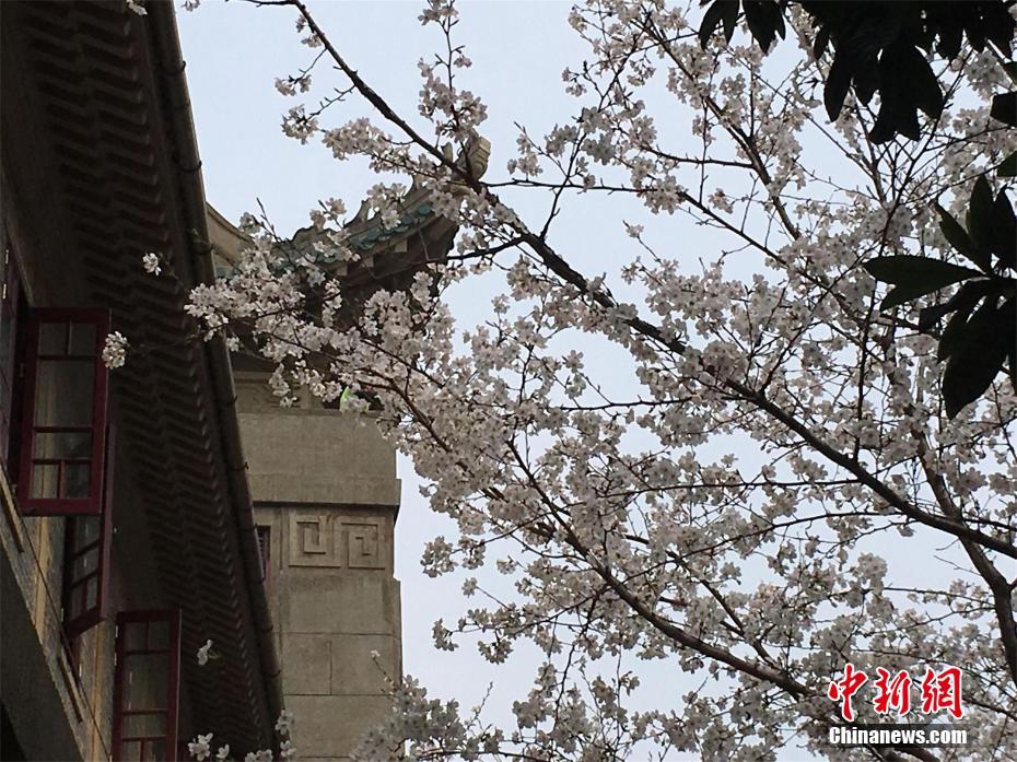 【吃瓜网站有哪些免费】非人群研讨文献不能作为依据点评！保健食品功用宣称规范发布