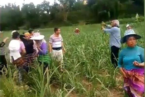 【51吃瓜网最新ip地址播放】素菜和水果含有大量维生素C