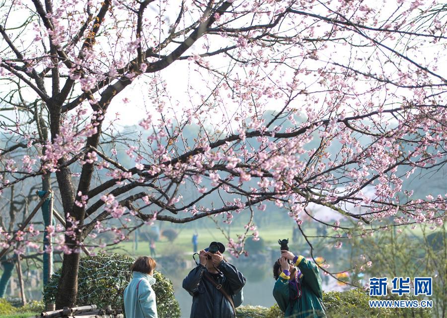 【成人网a站无码】春节假期第五天全国道路交通整体平稳