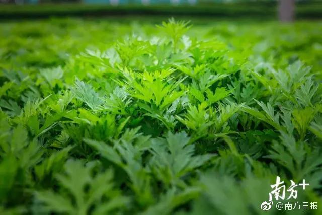【久久精品视频91】石狮：执行安全出产办法 保证新年安靖吉祥