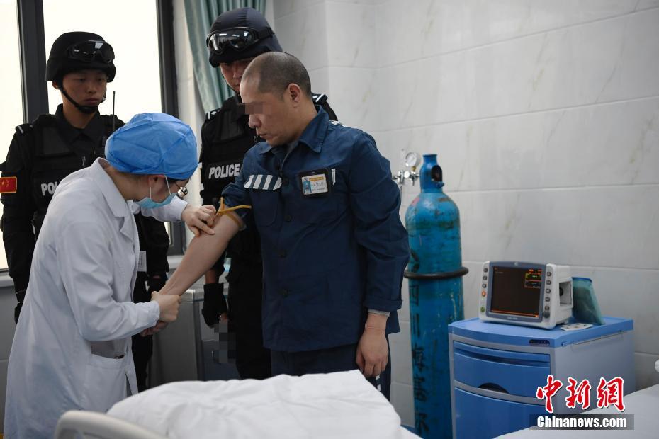 【猫扑视频最新版本更新内容】社区重阳节活动方案