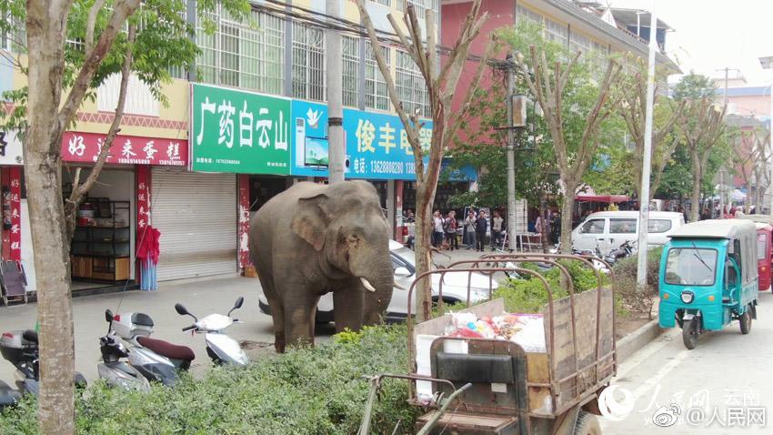 【vagaa国产成人亚洲综合A∨】手抄报的模板图简单