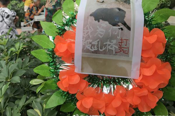 【51吃瓜张津瑜热心朝阳】江南七怪真的不算垃圾了