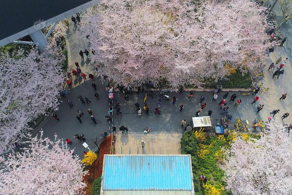 【吃瓜各种热门事件】情深50多年来经久不衰