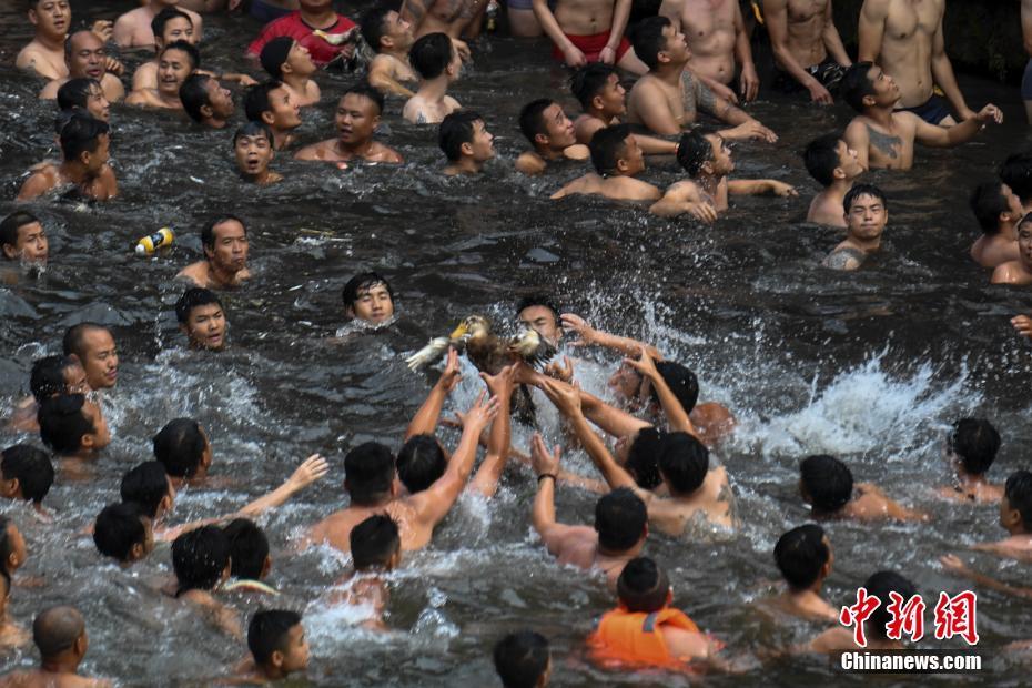 【51吃瓜群众网张津瑜】农药微粒剂及油剂等