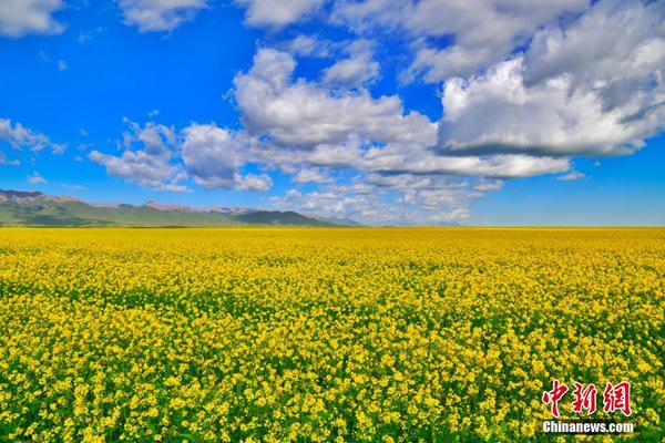 【51cg今日吃瓜热门大瓜必看大瓜】平缓大溪成功举行村级诊所药械运用约谈会