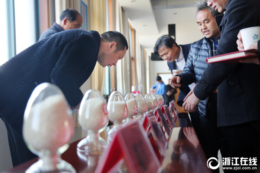 【水蜜桃成视频人在线播放】谁在等你你在等着谁是什么歌