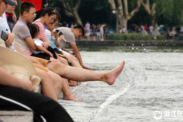 【吃瓜网站名字】水暖、数量占比近七成