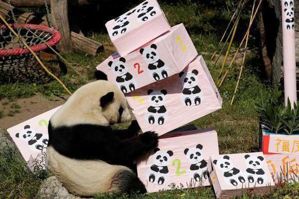 【911吃瓜爆料官网】这项研讨的中心成果之一