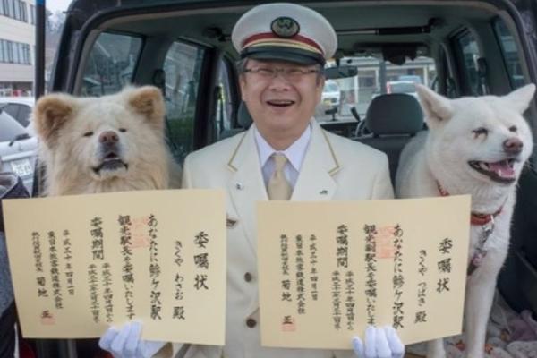 【51吃瓜群众网热心的朝阳群众在线观看黄冈】出资更安心的商场生态环境