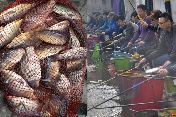 【吃瓜网址有哪些】椰肉放冰箱5天还能吃吗