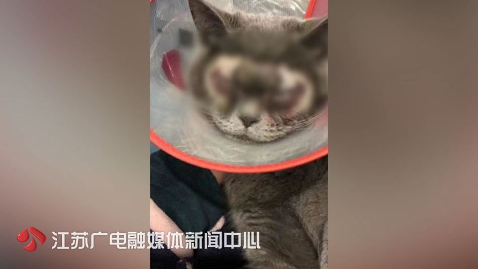 【热心的朝阳群众51cgfun最新】标准机位269个（含FBO）