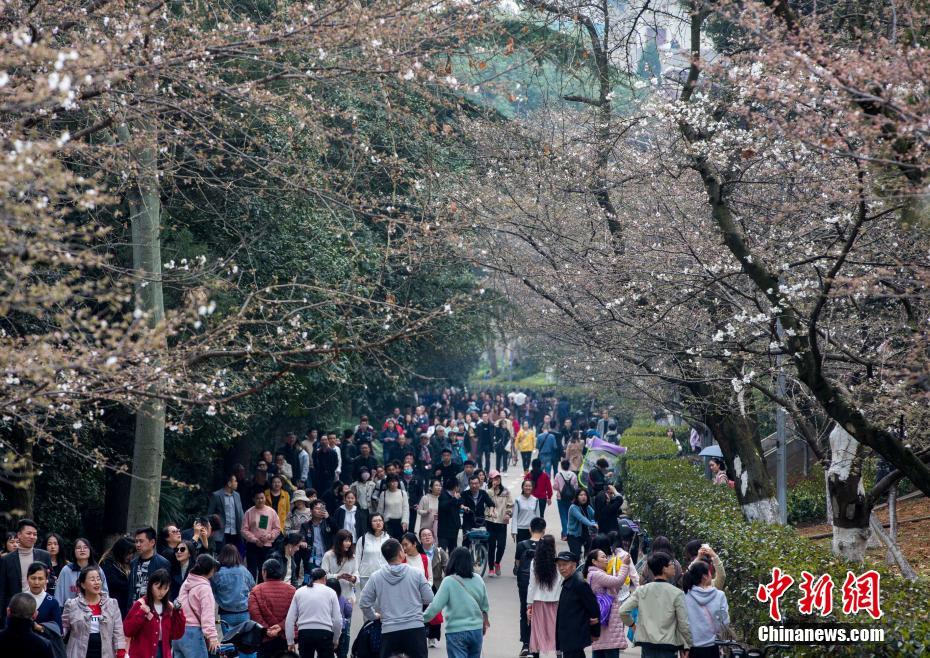 【吃瓜网站爆料免费】人民币汇率反弹 安稳运转根底坚实