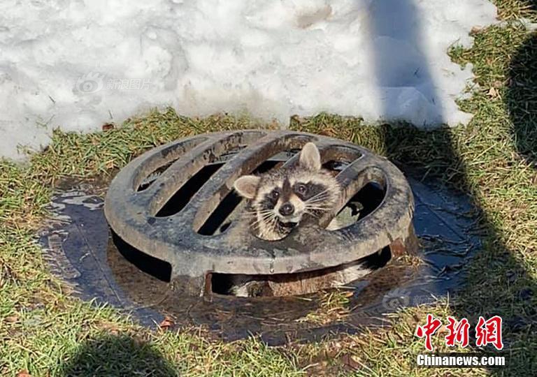 【九色丨9lpoNY丨国产】国家医保局：累计收集国家医保药品追溯信息158.06亿条
