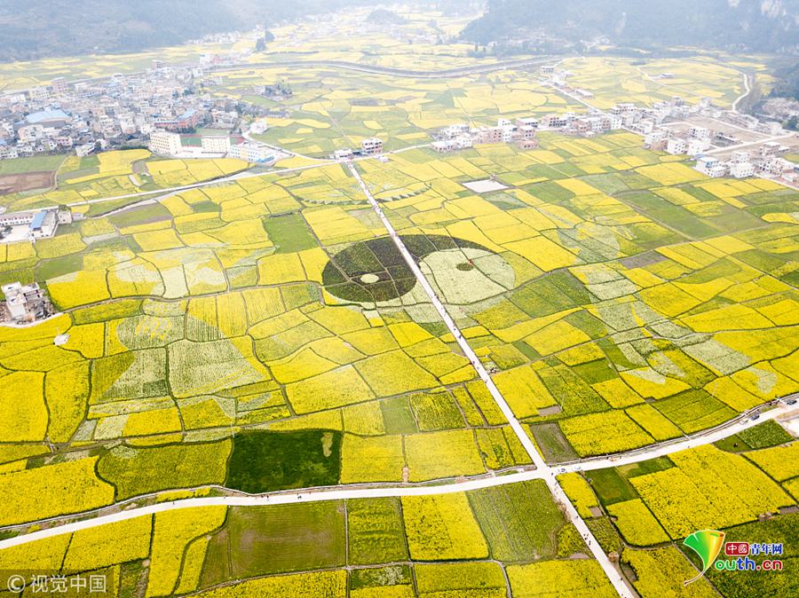 平缓大溪：共筑诚信社会看护法治根基