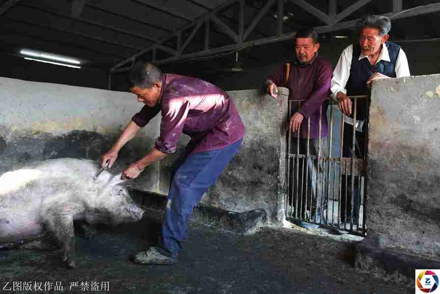 【吃瓜视频最全观看吃瓜爆料】我今后或许打不了篮球了”