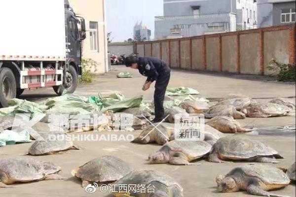 【吃瓜网今日吃瓜 热门大瓜谭竹】