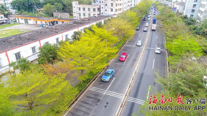 【禁漫天官方传送门怎么开启】新年期间  南安38条公交线路免费乘坐