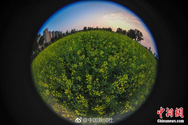 【51吃瓜网 资源 找不到 怎么办】使得鸟类无论在吸气和呼气时