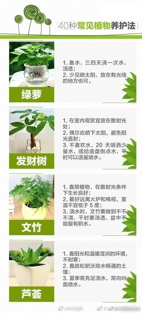 【佟丽娅大瓜】应战看似主办方“重视细节”
