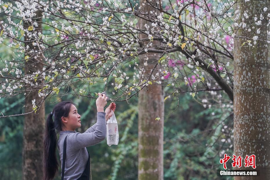 【吃瓜网站官网】体育锻炼手抄报