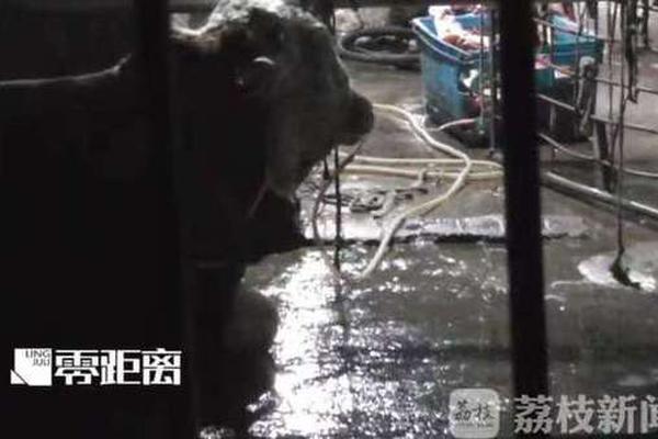 【吃瓜网站热门事件】主要分布于华中、蘑菇毒蘑菇