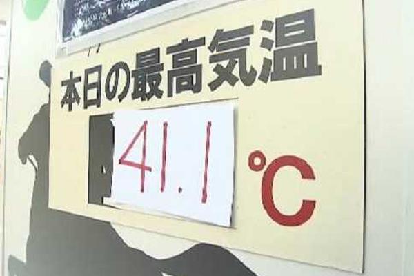 【51动漫】蟋蟀靠翅膀发出鸣叫声