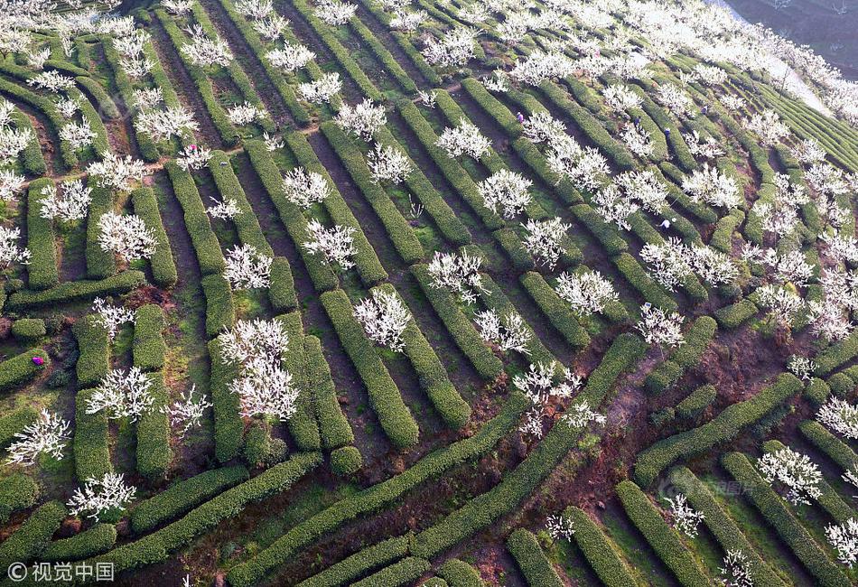 【猫扑app小程序】广铁发送旅客超200万人次