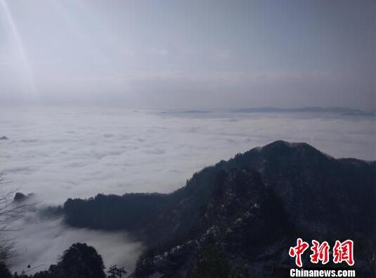 【樱桃污成视频人app下载】广西打造绿色优质生态蔬菜供应地