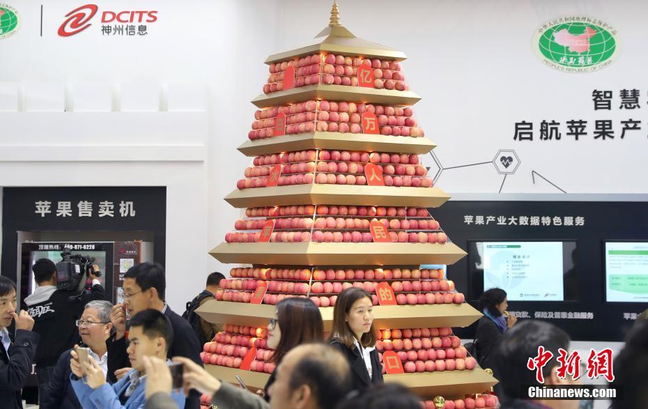 【51吃瓜网官网app下载】就送至压榨厂进行压榨