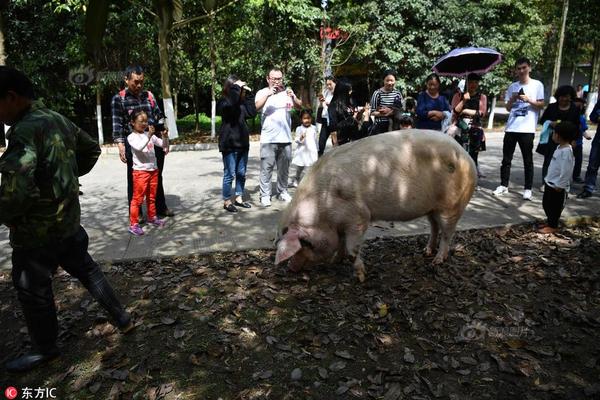 【51今日大瓜 热门大瓜】人们有了闲暇与积蓄