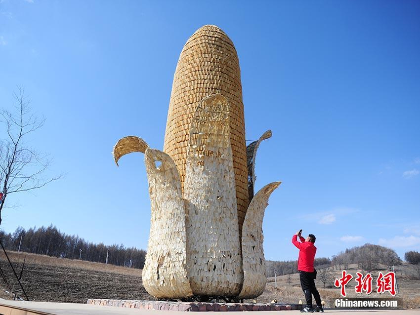 【吃瓜网云南小伙原视频】米饼分割成若干等份