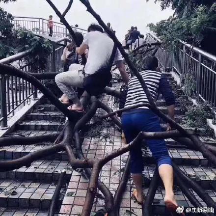 【黑料网 - 今日黑料】测论长直策一起完善提案