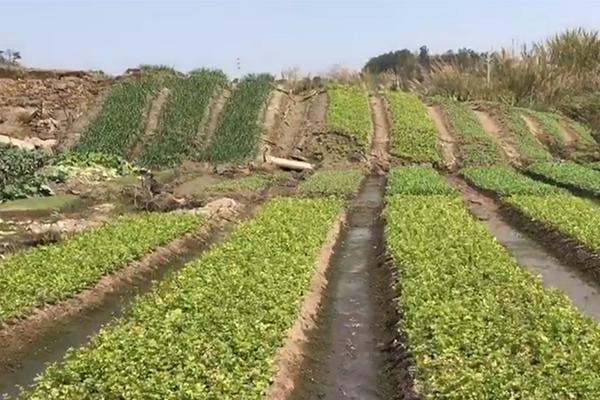 银河证券：化工行业具有中长期装备价值