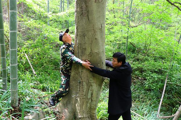 【五1吃瓜官网下载】林丹世界羽毛球比赛密集